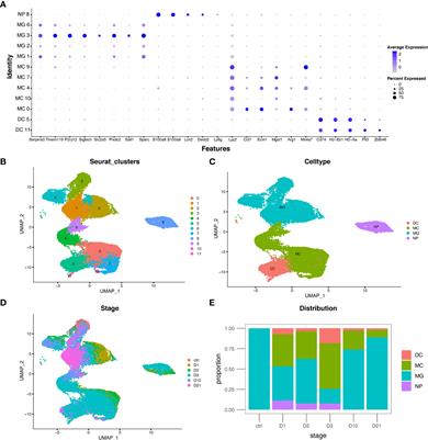 Bioinformatics analysis identified apolipoprotein E as a hub gene regulating neuroinflammation in macrophages and microglia following spinal cord injury